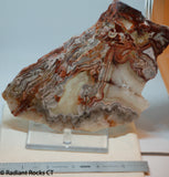Laguna Lace Agate Lapidary Slab Great colors /patterns 9.0 oz  (255 grams)