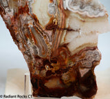 Laguna Lace Agate Lapidary Slab Great colors /patterns 9.0 oz  (255 grams)