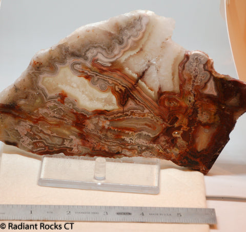 Laguna Lace Agate Lapidary Slab Great colors /patterns 9.0 oz  (255 grams)