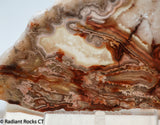 Laguna Lace Agate Lapidary Slab Great colors /patterns 9.0 oz  (255 grams)