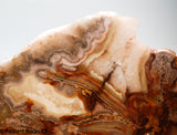 Laguna Lace Agate Lapidary Slab Great colors /patterns 9.0 oz  (255 grams)