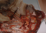 Laguna Lace Agate Lapidary Slab Great colors /patterns 9.0 oz  (255 grams)