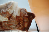 Laguna Lace Agate Lapidary Slab Great colors /patterns 9.0 oz  (255 grams)