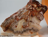 Laguna Lace Agate Lapidary Slab Great colors /patterns 9.0 oz  (255 grams)