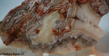 Laguna Lace Agate Lapidary Slab Great colors /patterns 9.0 oz  (255 grams)