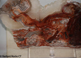Laguna Lace Agate Lapidary Slab Great colors /patterns 10.2 oz  (285 grams)