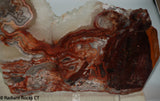 Laguna Lace Agate Lapidary Slab Great colors /patterns 10.2 oz  (285 grams)