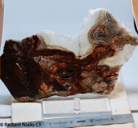 Laguna Lace Agate Lapidary Slab Great colors /patterns 10.2 oz  (285 grams)