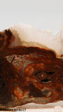 Laguna Lace Agate Lapidary Slab Great colors /patterns 10.2 oz  (285 grams)