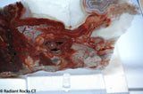 Laguna Lace Agate Lapidary Slab Great colors /patterns 10.2 oz  (285 grams)