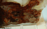 Laguna Lace Agate Lapidary Slab Great colors /patterns 10.2 oz  (285 grams)
