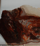 Laguna Lace Agate Lapidary Slab Great colors /patterns 10.2 oz  (285 grams)