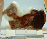 Laguna Lace Agate Lapidary Slab Great colors /patterns 10.2 oz  (285 grams)