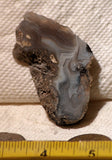 Las Choyas Coconut Geode Chalcedony slab 1.2 oz (35 gram) - radiantrocksct