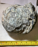 Solid Las Choyas Coconut Chalcedony Nodule/Geode doublet ~7.7 lb (3510 grams) - radiantrocksct