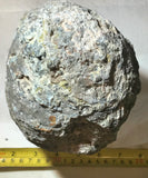 Solid Las Choyas Coconut Chalcedony Nodule/Geode doublet ~7.7 lb (3510 grams) - radiantrocksct