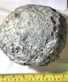 Solid Las Choyas Coconut Chalcedony Nodule/Geode  ~6.6 lb (3025 grams) - radiantrocksct