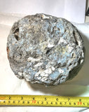 Solid Las Choyas Coconut Chalcedony Nodule/Geode  ~6.6 lb (3025 grams) - radiantrocksct