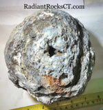 Solid Las Choyas Coconut Chalcedony Nodule/Geode  ~6.6 lb (3025 grams) - radiantrocksct