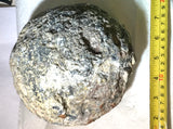 Solid Las Choyas Coconut Chalcedony Nodule/Geode  ~8.4 lb (3820 grams) - radiantrocksct