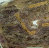 Lavender Purple Tube Agate Lapidary Slab - Radiant Rocks CT