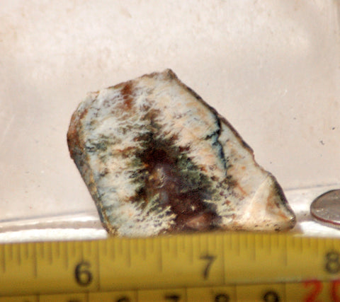 Linda Marie Plume Agate slab 0.8 oz (25 grams) - radiantrocksct