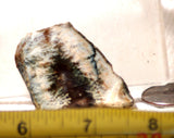 Linda Marie Plume Agate slab 0.8 oz (25 grams) - radiantrocksct