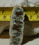 Linda Marie Plume Agate heel slab (23 grams) - radiantrocksct