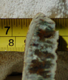 Linda Marie Plume Agate heel slab (23 grams) - radiantrocksct