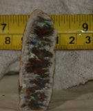 Linda Marie Plume Agate heel slab (23 grams) - radiantrocksct
