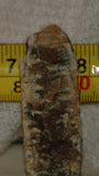 Linda Marie Plume Agate heel slab (23 grams) - radiantrocksct