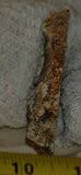 Linda Marie Plume Agate heel slab (23 grams) - radiantrocksct