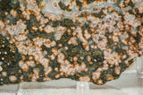 Madagascar Ocean Jasper Lapidary Cabochon slab 12.2 oz (340 grams)