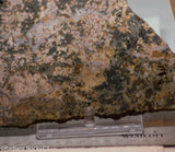 Madagascar Ocean Jasper Lapidary Cabochon slab 12.2 oz (340 grams)