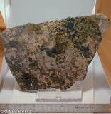 Madagascar Ocean Jasper Lapidary Cabochon slab 12.2 oz (340 grams)
