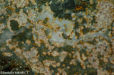 Madagascar Ocean Jasper Lapidary Cabochon slab 12.2 oz (340 grams)