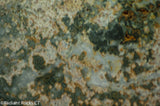 Madagascar Ocean Jasper Lapidary Cabochon slab 12.2 oz (340 grams)