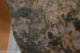Madagascar Ocean Jasper Lapidary Cabochon slab 12.2 oz (340 grams)