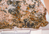 Madagascar Ocean Jasper Lapidary Cabochon slab 19 oz (540 grams)