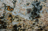 Madagascar Ocean Jasper Lapidary Cabochon slab 19 oz (540 grams)