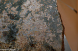 Madagascar Ocean Jasper Lapidary Cabochon slab 19 oz (540 grams)