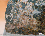 Madagascar Ocean Jasper Lapidary Cabochon slab 19 oz (540 grams)