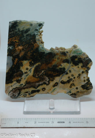Madagascar Ocean Jasper Lapidary Cabochon slab   - RadiantRocksCT.com