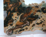 Madagascar Ocean Jasper Lapidary Cabochon slab   - RadiantRocksCT.com