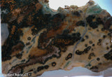 Madagascar Ocean Jasper Lapidary Cabochon slab   - RadiantRocksCT.com
