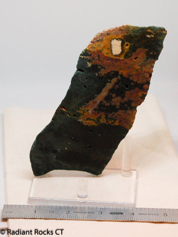 Madagascar Ocean Jasper Lapidary Cabochon slab 6.2 oz (175 grams)