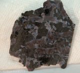 Magliano Indo Gabbro Lapidary Slab - RadiantRocksCT