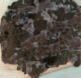 Magliano Indo Gabbro Lapidary Slab - RadiantRocksCT