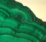 Congo Malachite lapidary  face cut slab 15.6 oz (445 grams) - radiantrocksct