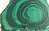 Congo Malachite lapidary slab 15.8 oz (455 grams) - radiantrocksct
